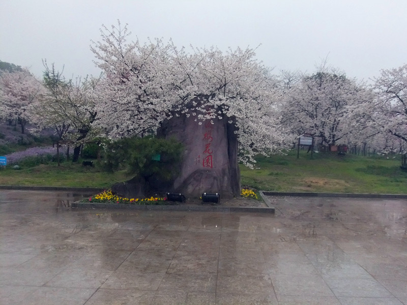 dscf9708_.jpg