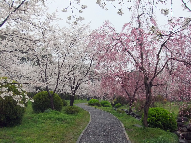 dscf9699_.jpg