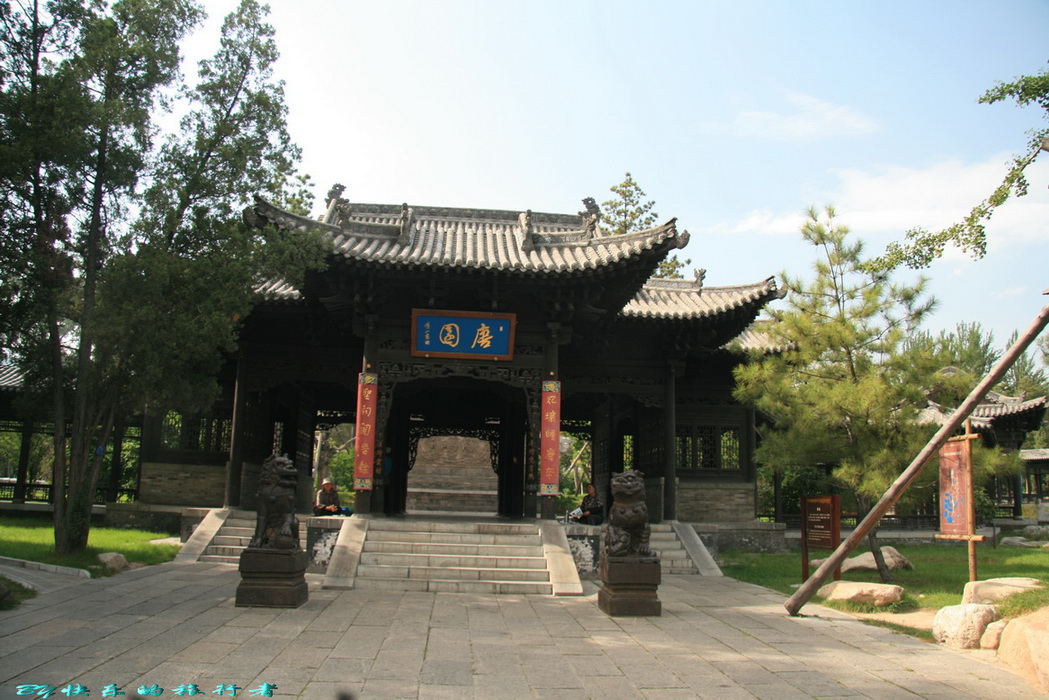 751.jpg