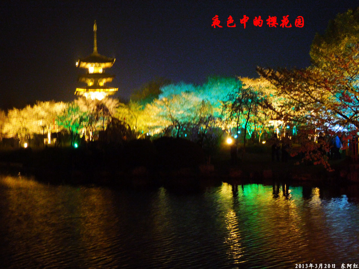 dscn6473.jpg