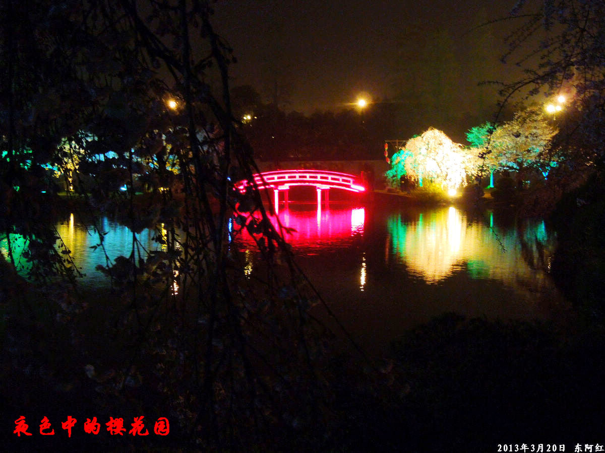 dscn6498.jpg