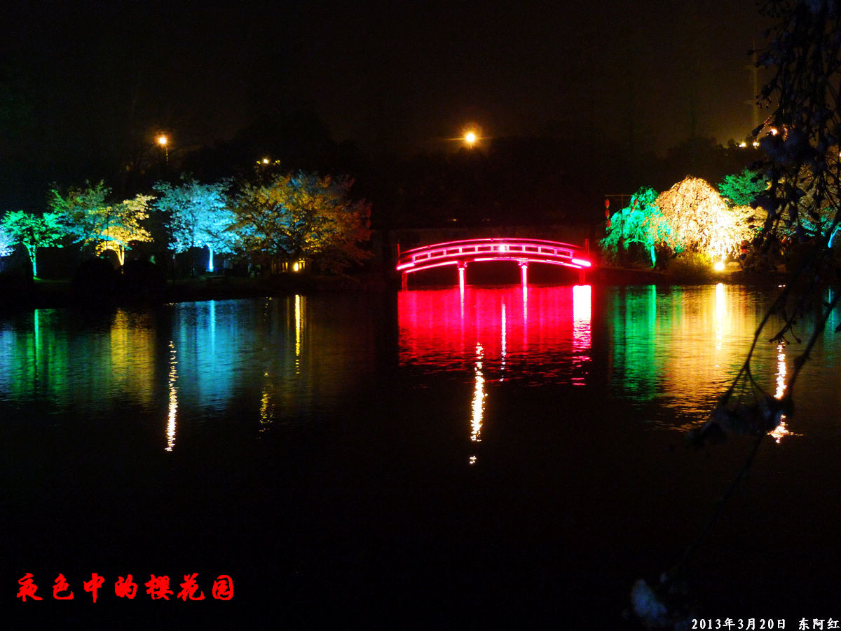 dscn6493.jpg