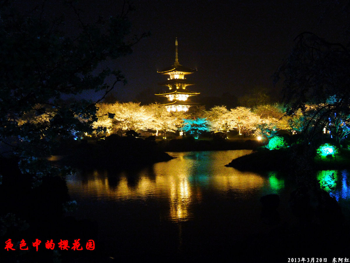 dscn6488.jpg