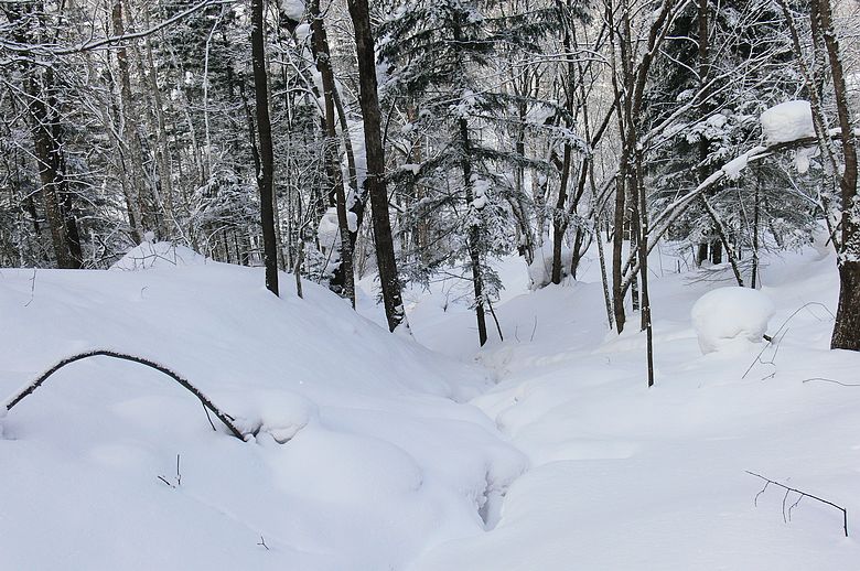 p1250256.jpg