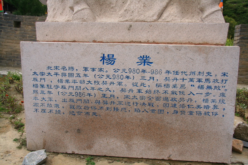868.jpg