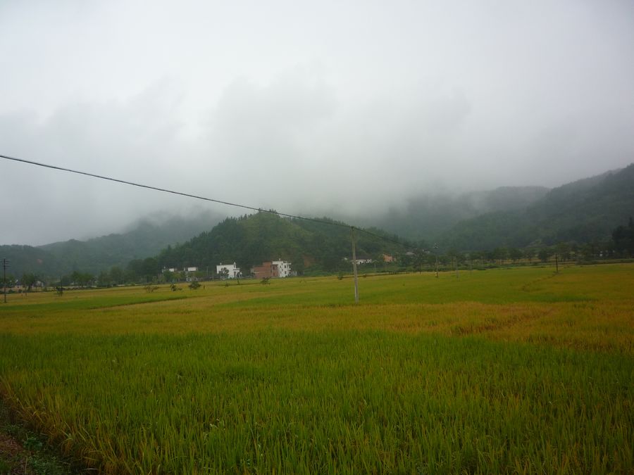 p1130799.jpg