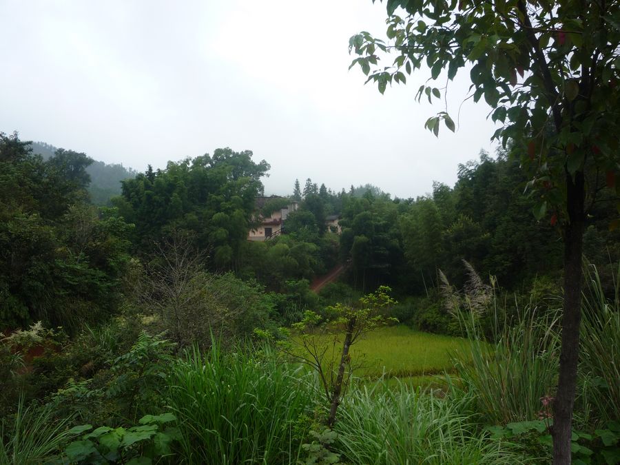 p1130813.jpg