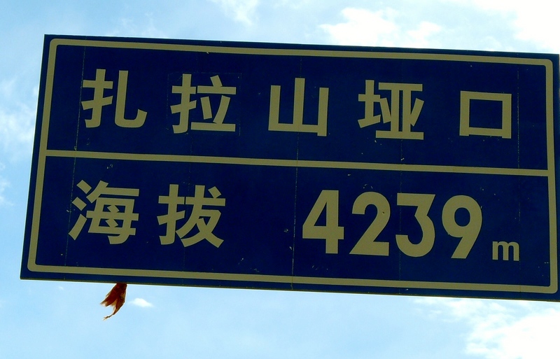 260.jpg