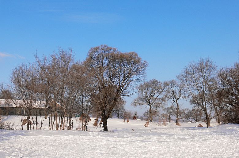 p1250554.jpg