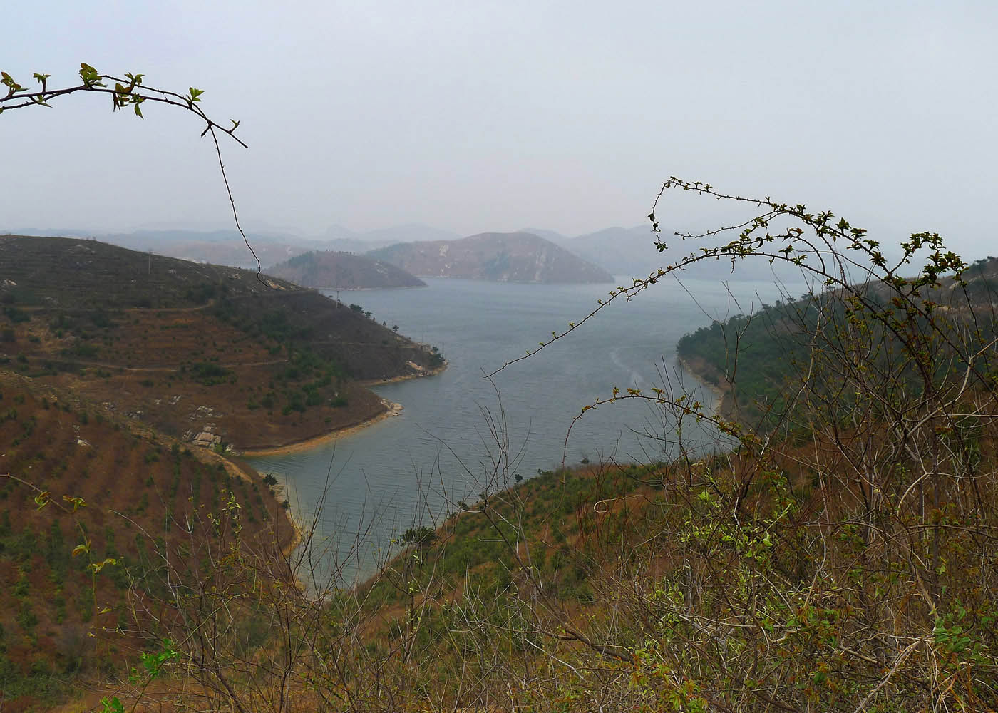 p1100710.jpg
