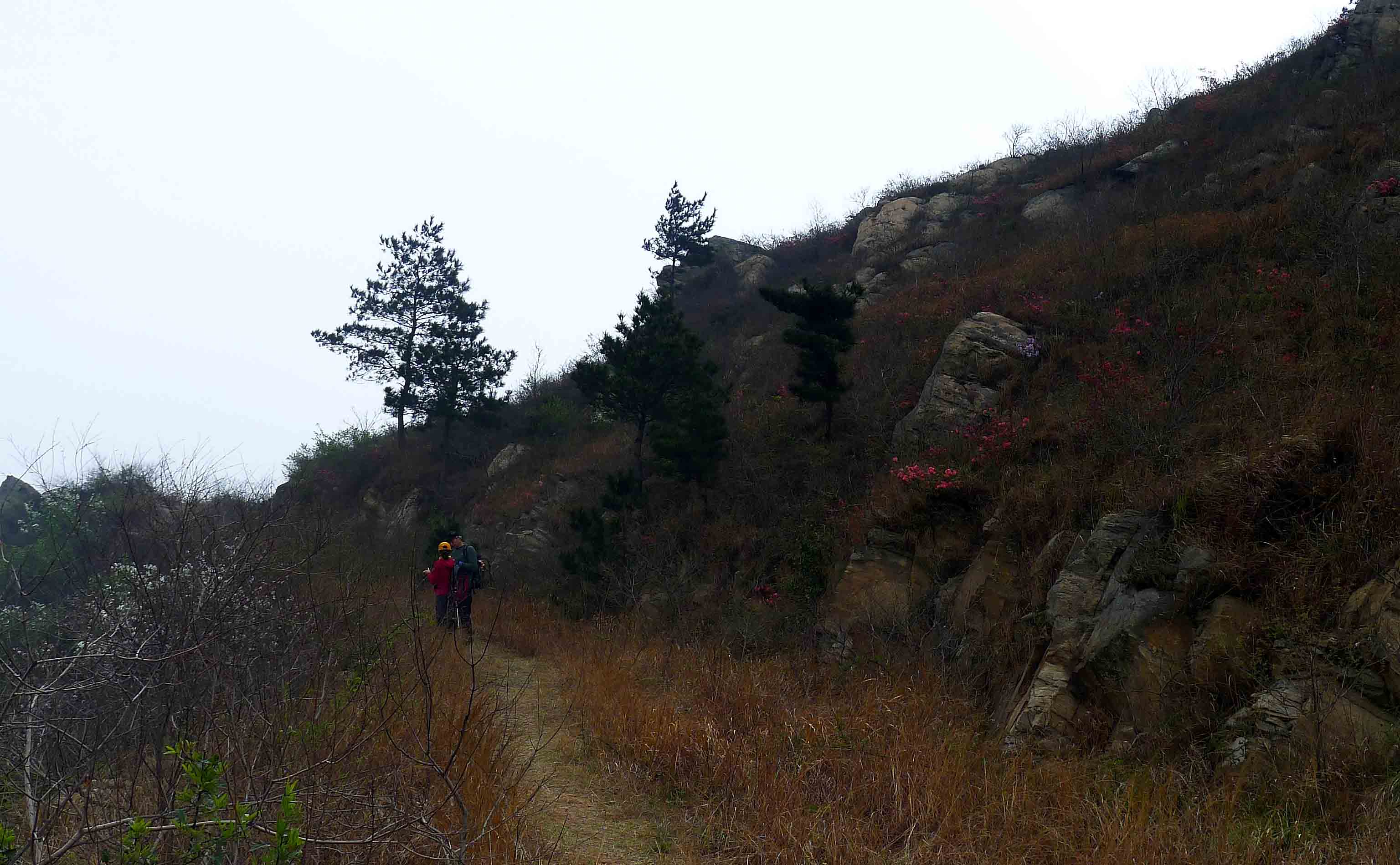 p1100742.jpg