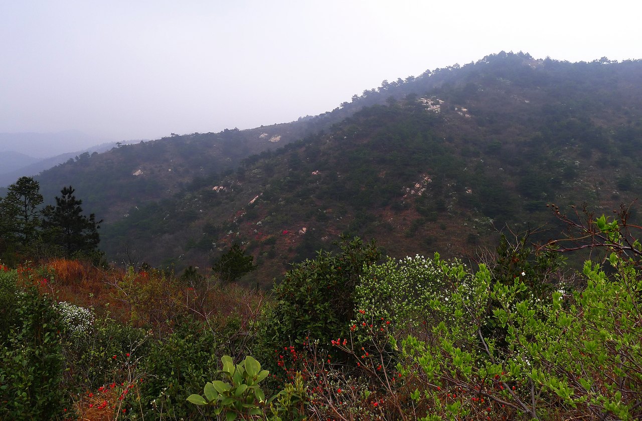 p1100752.jpg