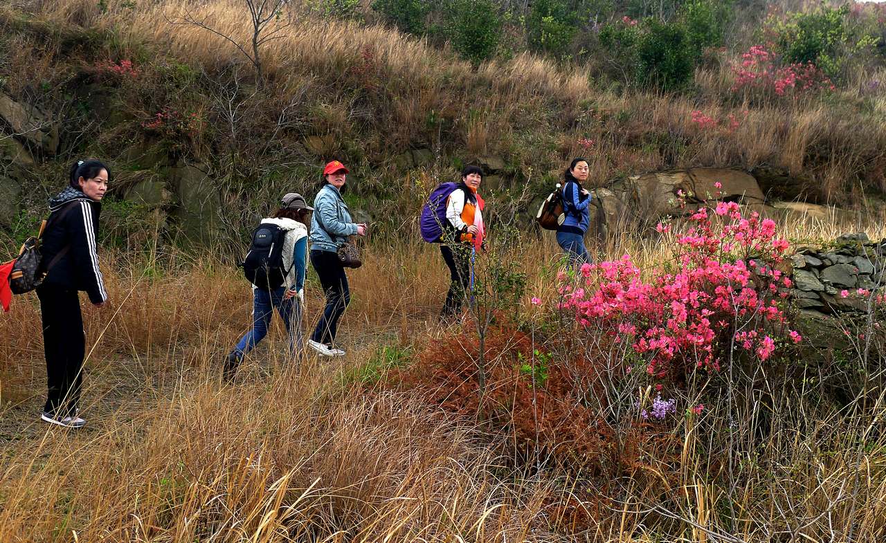p1100749.jpg