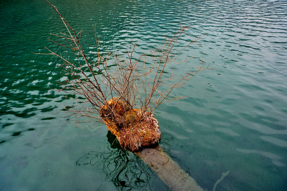 dsc_2425.jpg