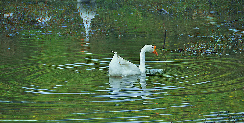 dsc_3253.jpg