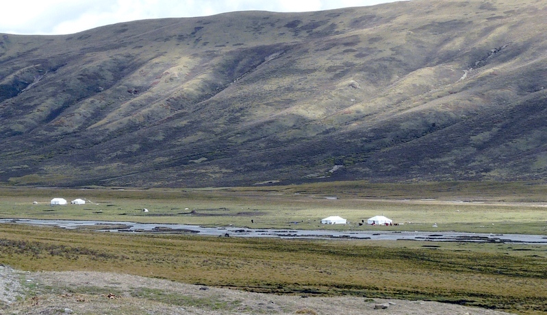 266.jpg