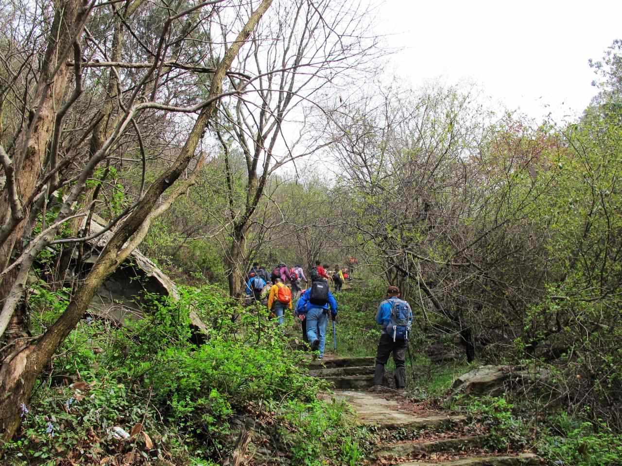 2013.3.3 244.jpg
