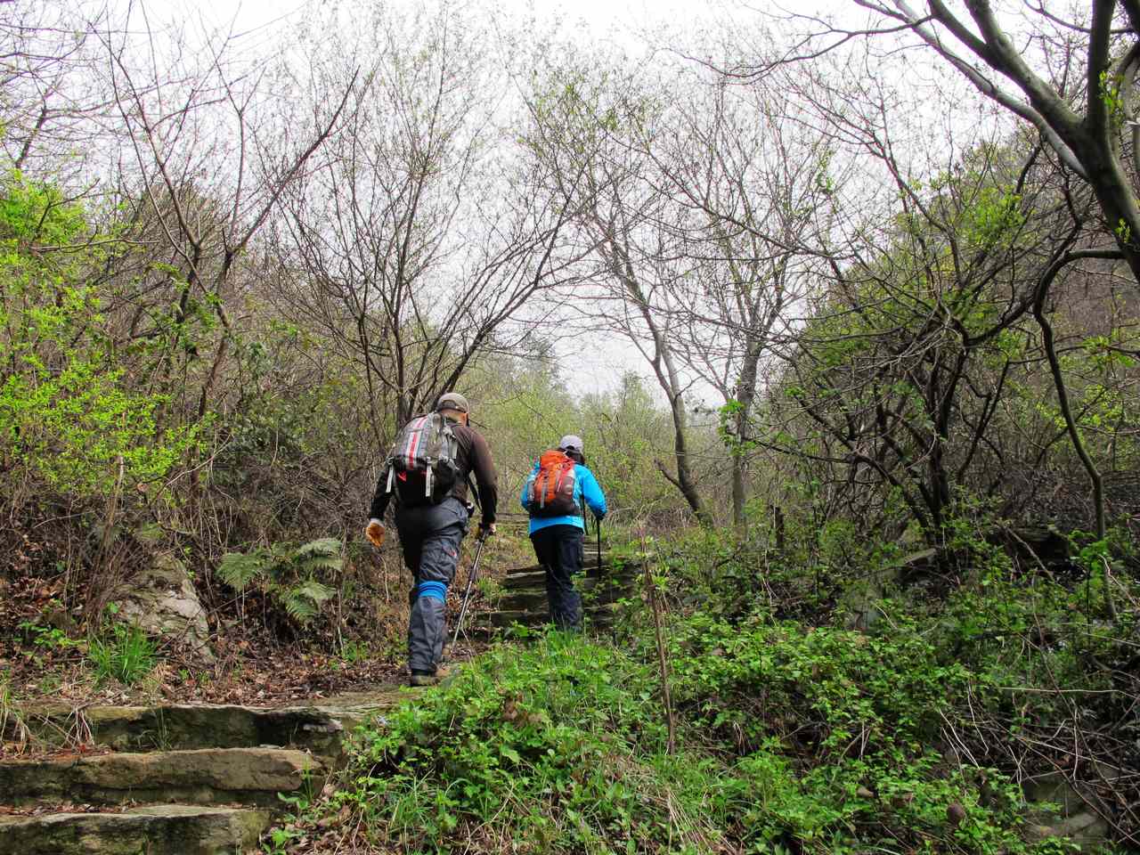 2013.3.3 246.jpg