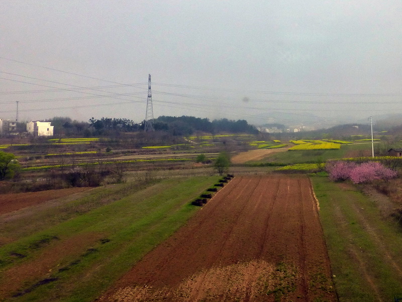 p1040028.jpg