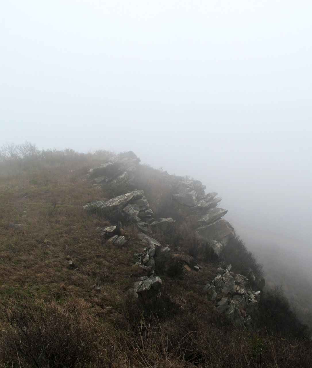 2013.3.3 296.jpg