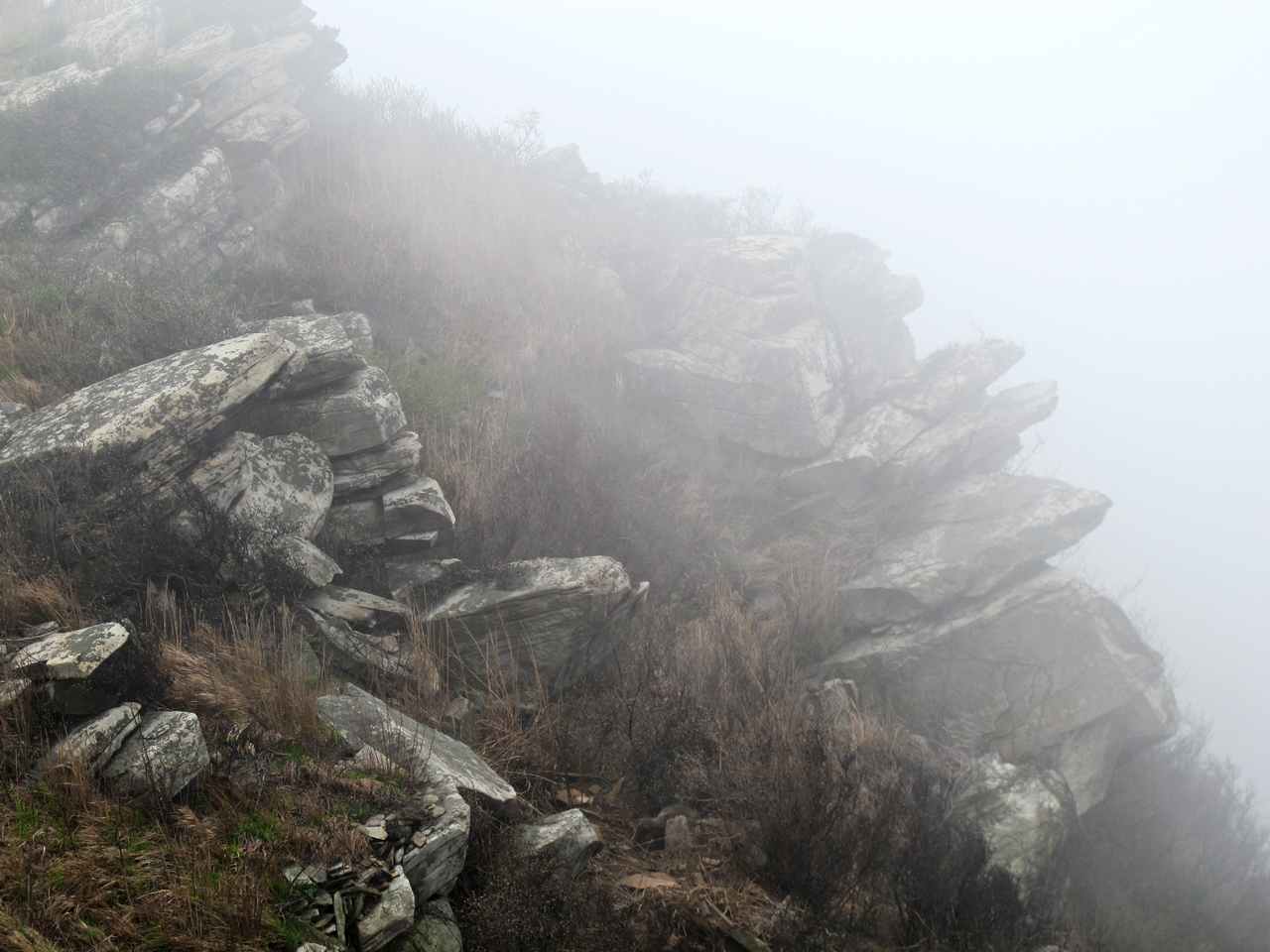2013.3.3 297.jpg