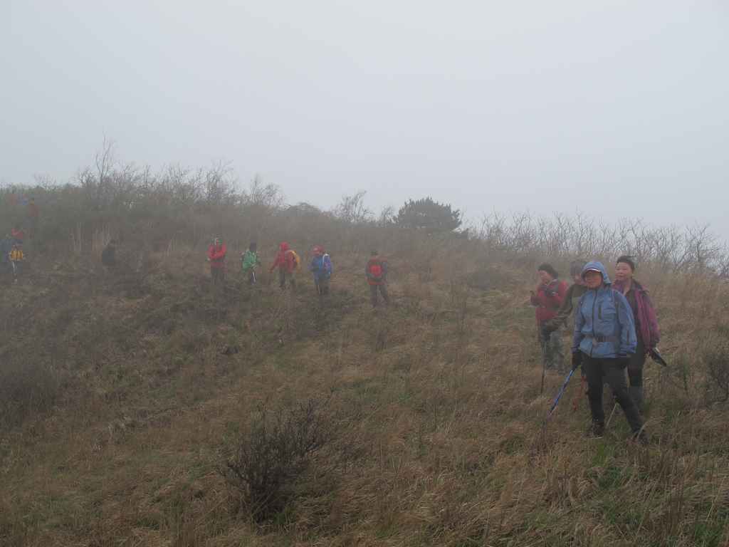 2013.3.3 299.jpg