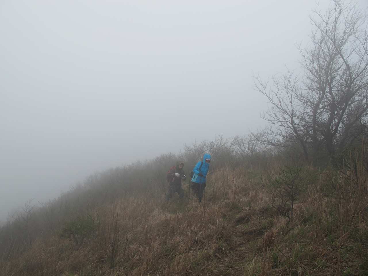 2013.3.3 316.jpg
