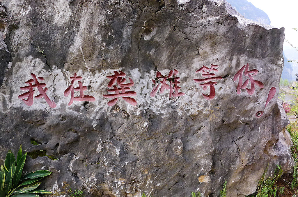 p1040789.jpg