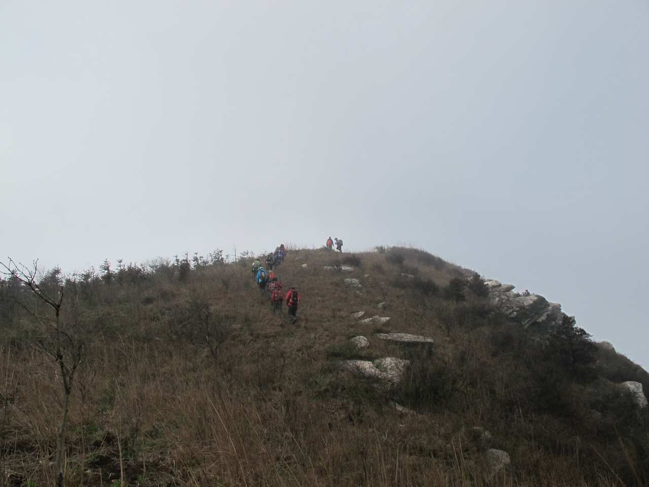 2013.3.3 332.jpg