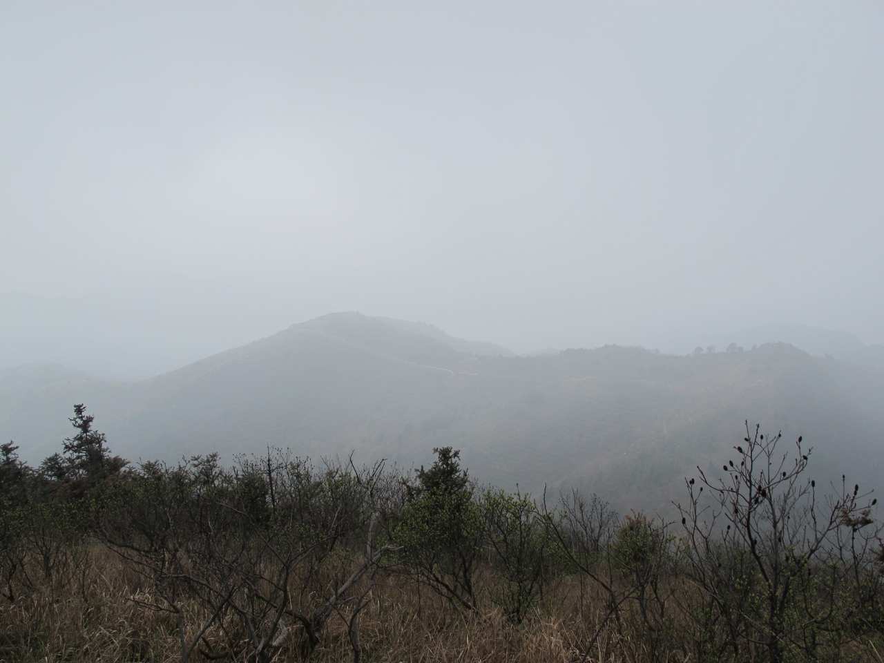 2013.3.3 334.jpg