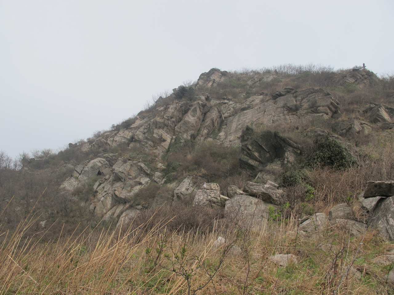 2013.3.3 335.jpg