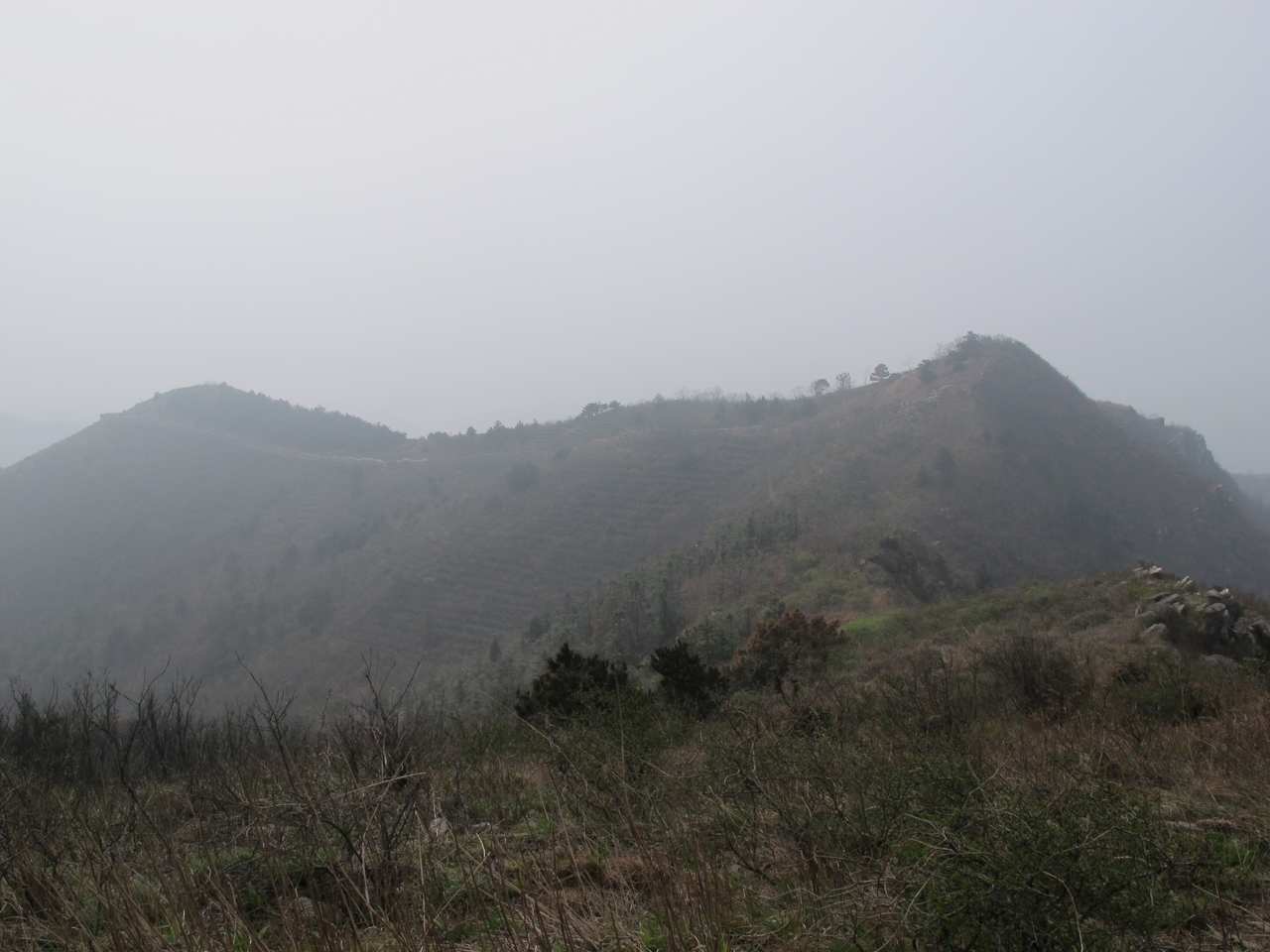 2013.3.3 337.jpg