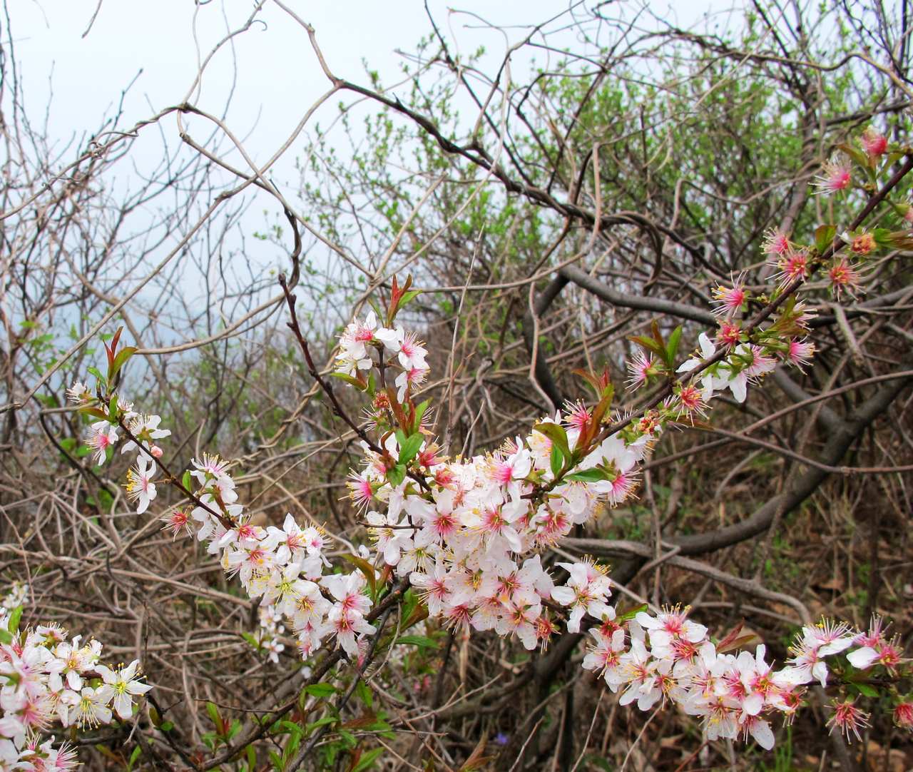 2013.3.3 342.jpg
