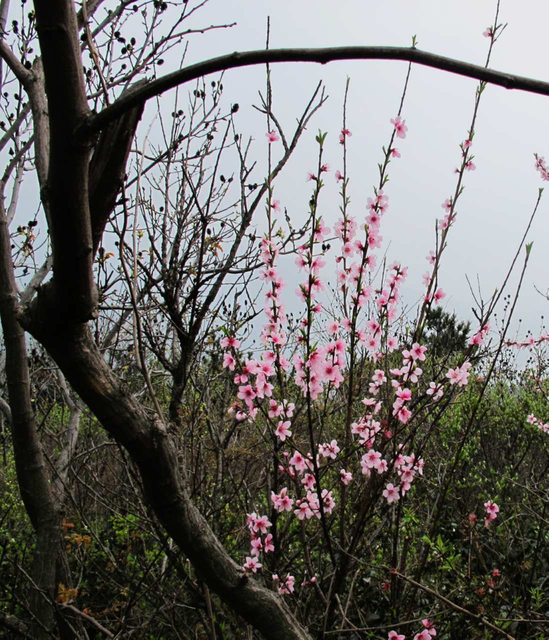 2013.3.3 344.jpg