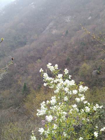 С img_20130324_133705.jpg