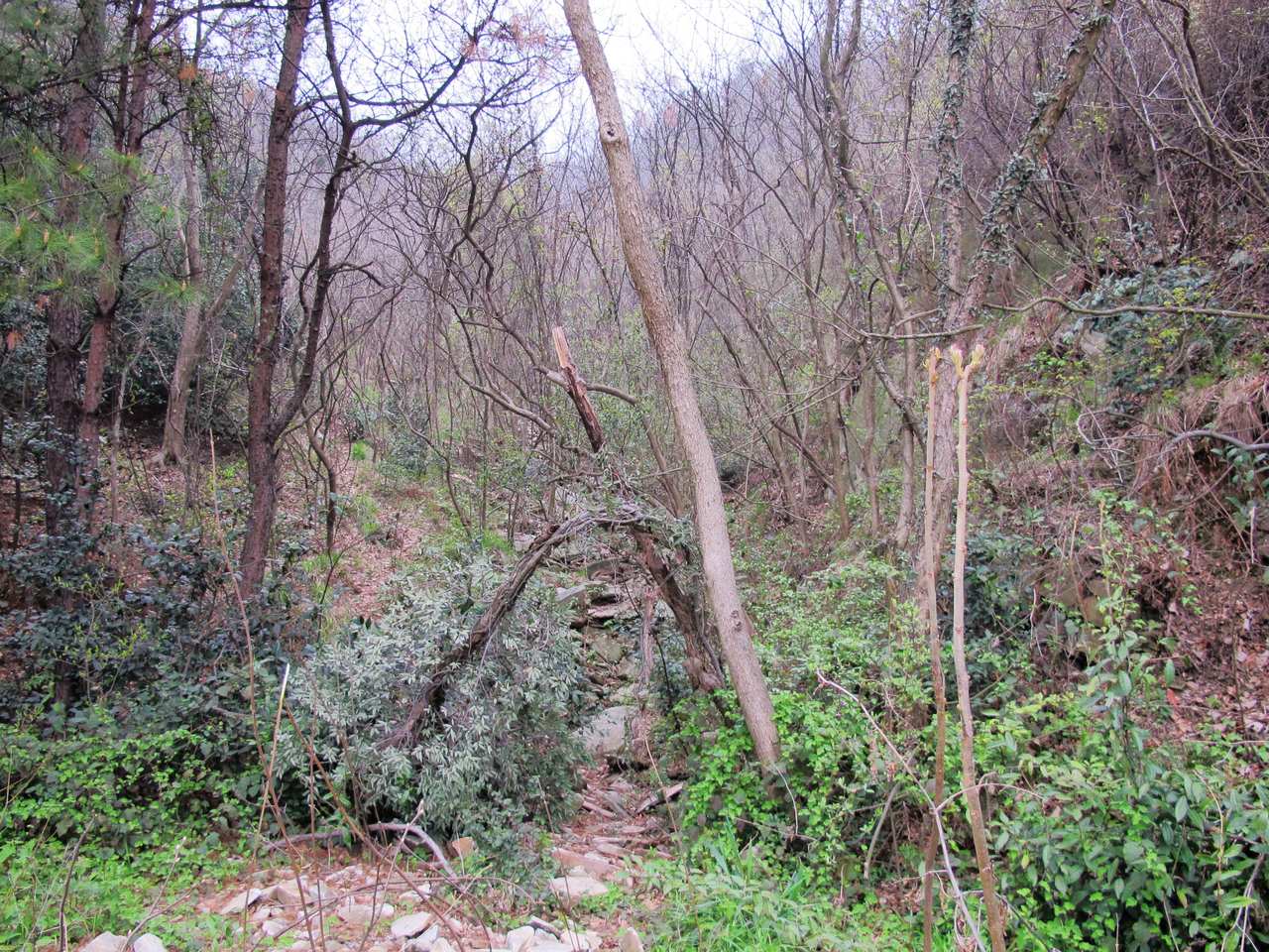 2013.3.3 373.jpg