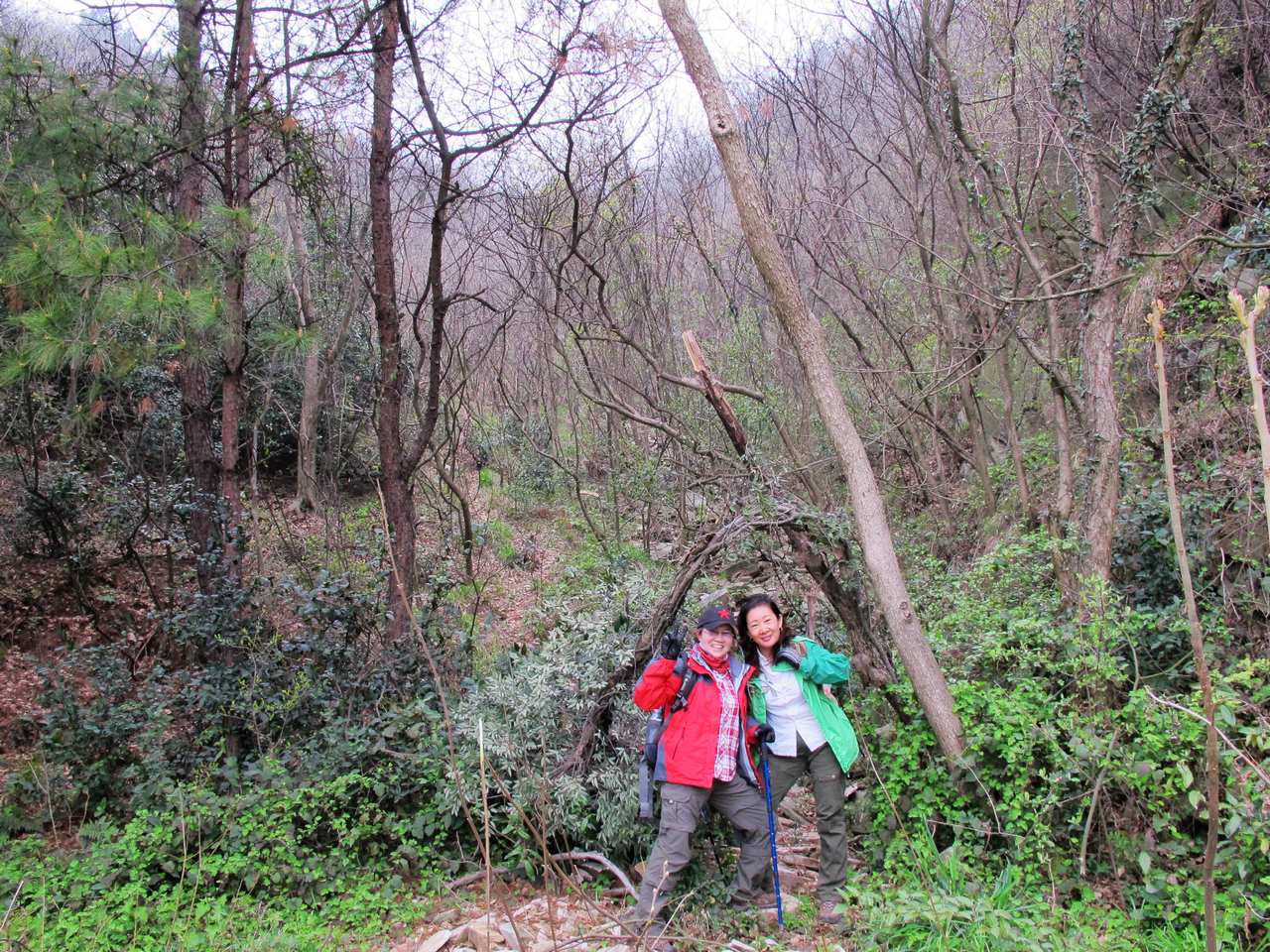 2013.3.3 376.jpg