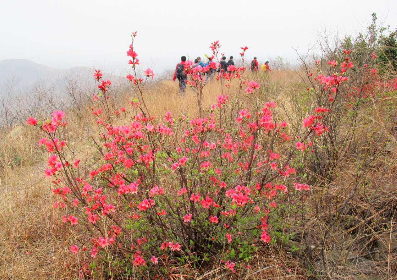 2013.3.3 387.jpg