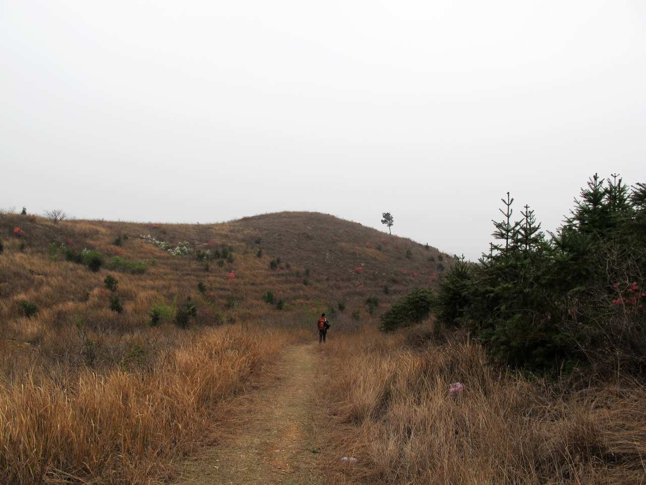 2013.3.3 404.jpg