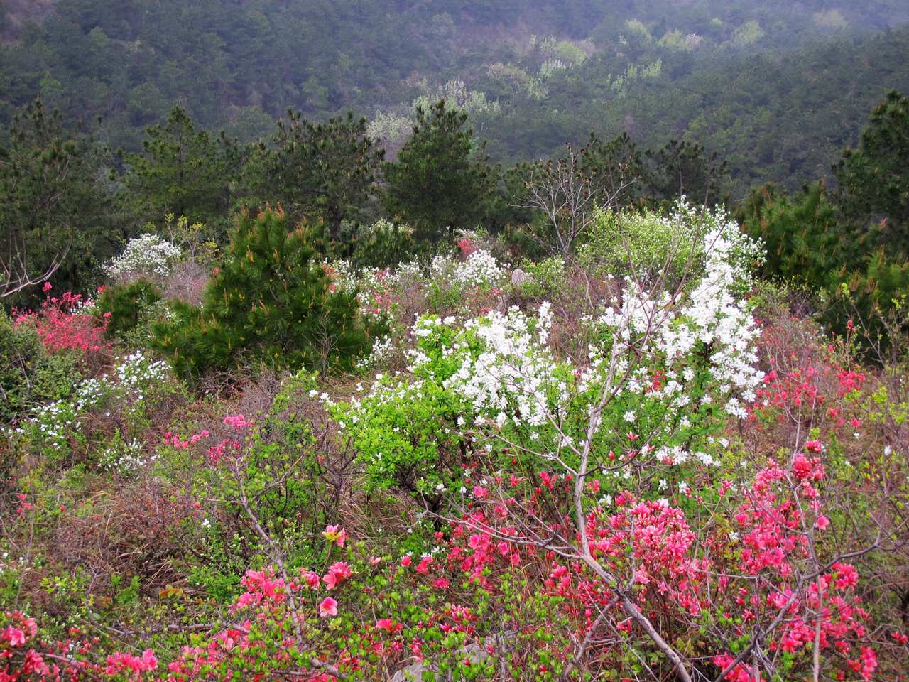 2013.3.3 412.jpg