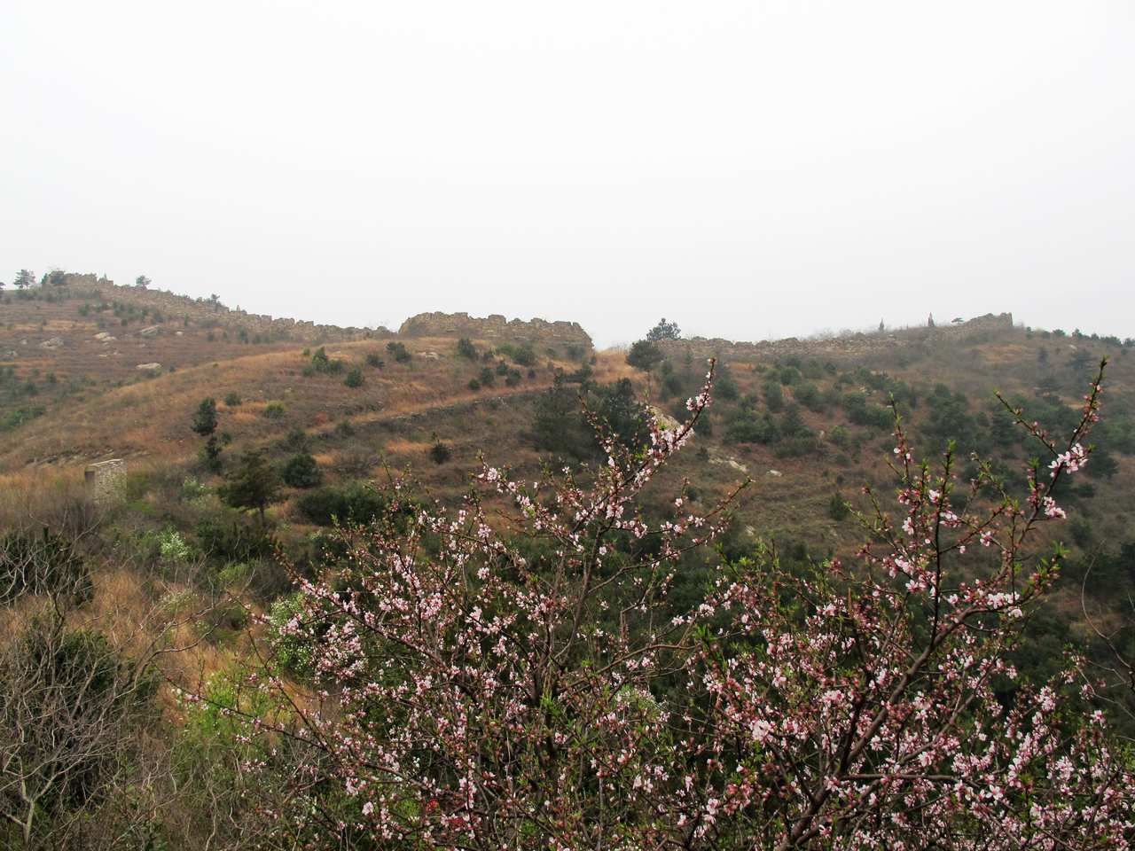 2013.3.3 415.jpg