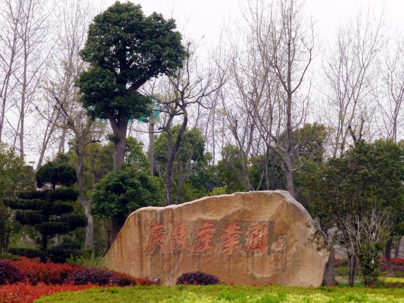 p1050092.jpg