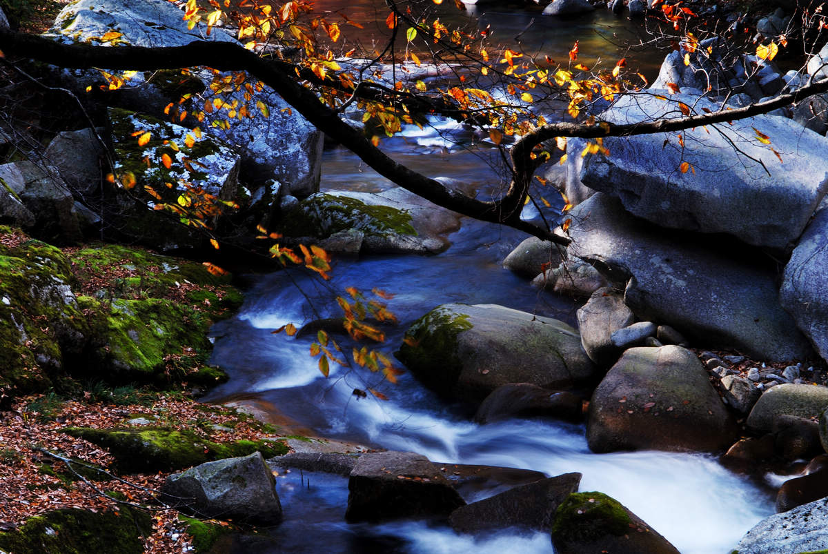 sichuan_1 (13).jpg