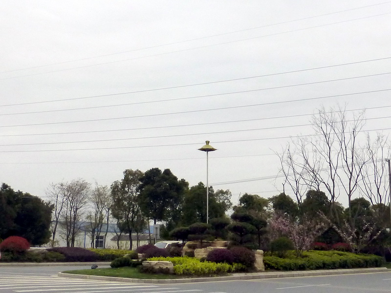 p1050106.jpg