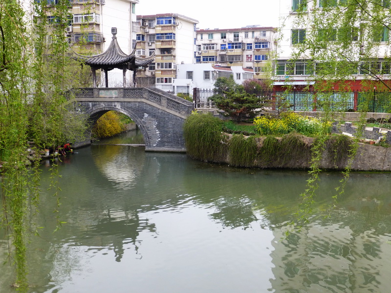 p1050154.jpg