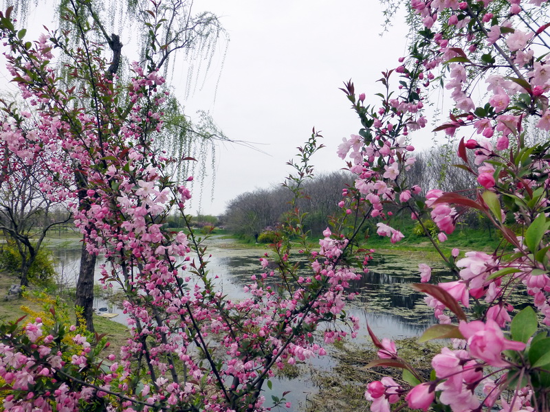 p1050167.jpg