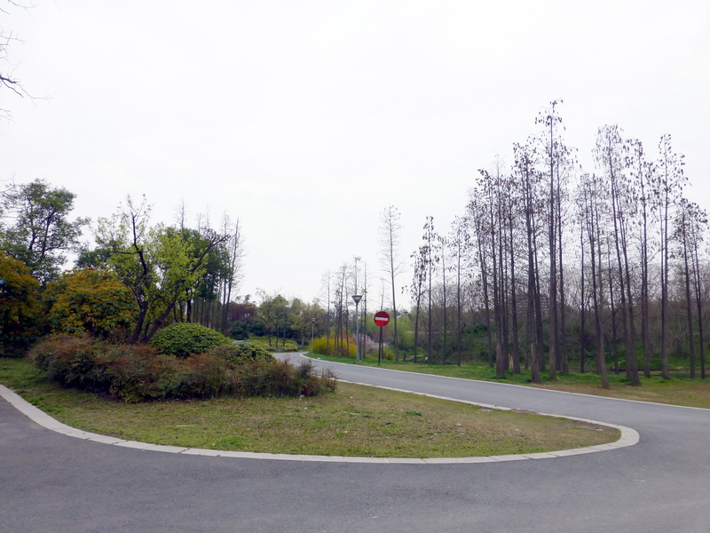 p1050173.jpg