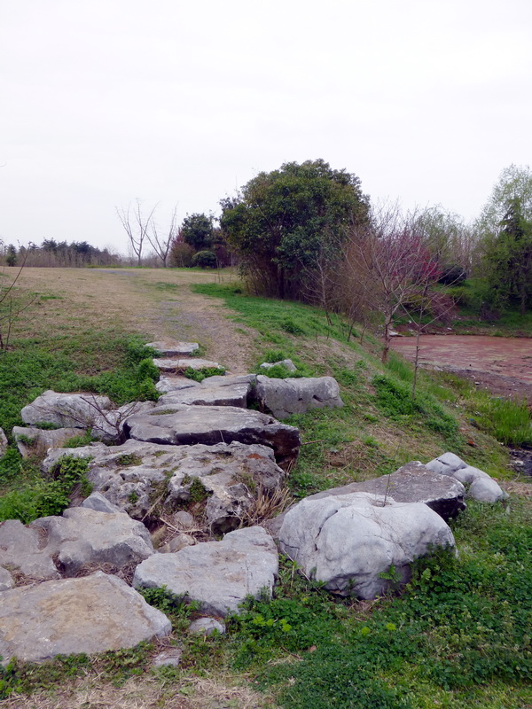 p1050176.jpg