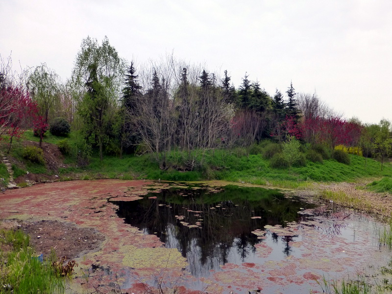 p1050177.jpg
