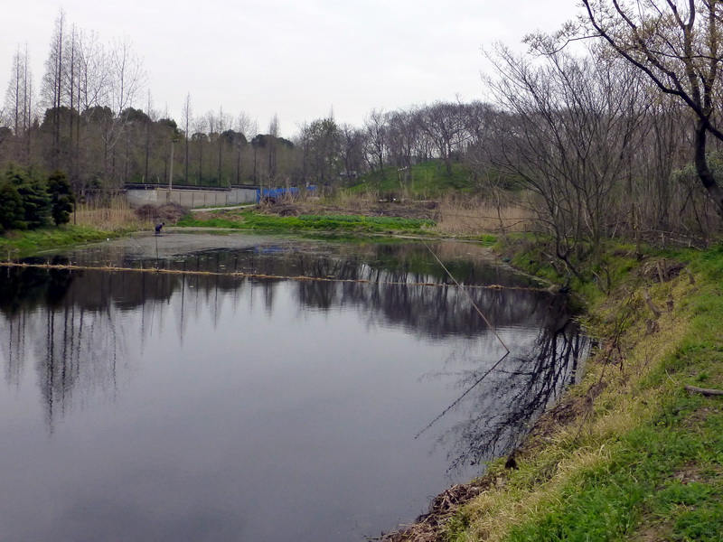 p1050179.jpg